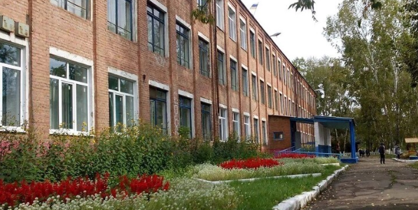 В России школьница с ножом напала на педагога: что известно